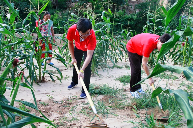 帮村民下地除草 赵明超摄影 帮村民下地除草 赵明超摄影