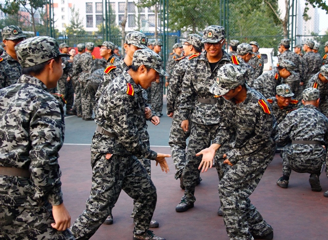 小鸡成长三部曲 小鸡成长三部曲